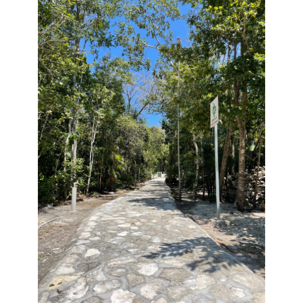 2 Terrenos en Aldea Kaan