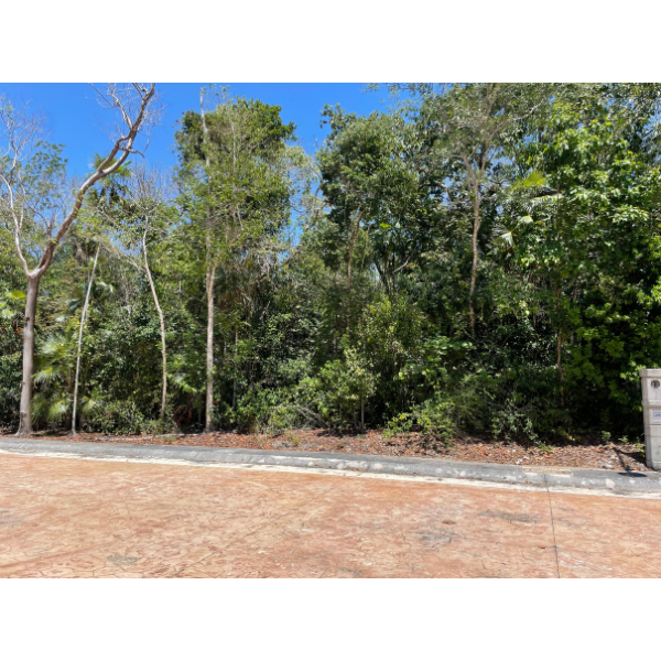 2 Terrenos en Aldea Kaan