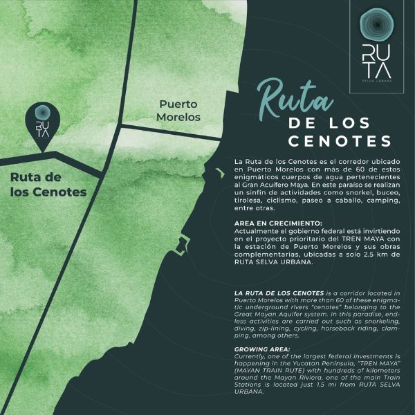 Ruta - Selva Urbana